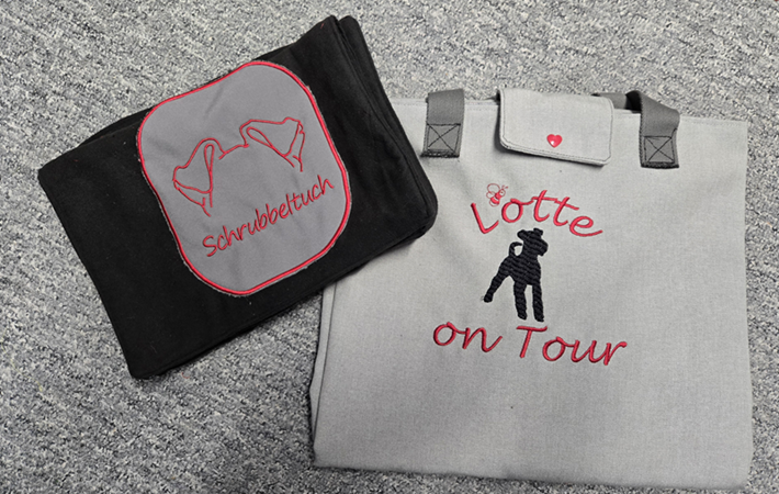 Hunde im Alltag unterwegs